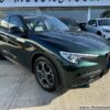 ALFA ROMEO STELVIO 2.2 JTD-M 190CV Q4 BUSINESS